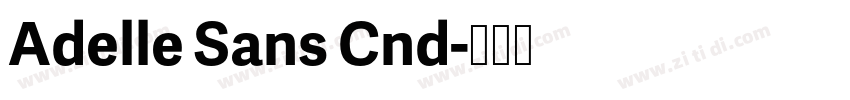 Adelle Sans Cnd字体转换